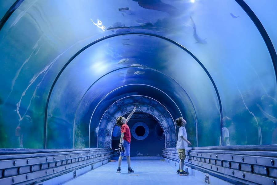 Hurghada Grand Aquarium Entry Tickets, at Hurghada Grand Aquarium, Hurghada