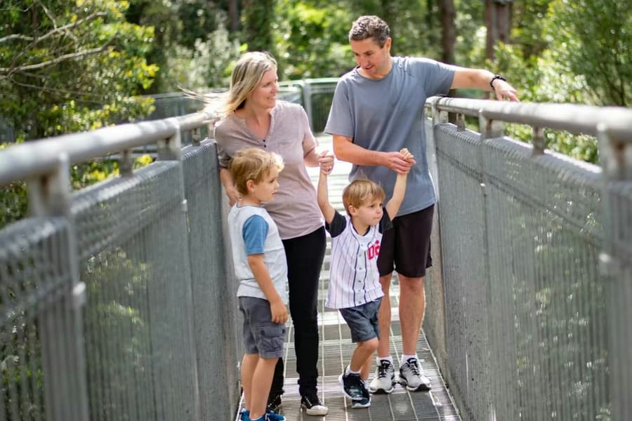 Illawarra Fly Treetop Adventures: Treetop Walk, at Illawarra Fly Treetop Adventures, Sydney