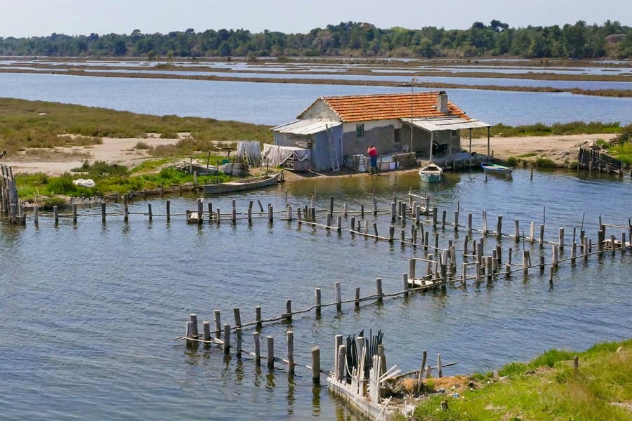 From Tirana/Durres: Karavasta Lagoon 4x4 Off-Road Day Trip, Tirana