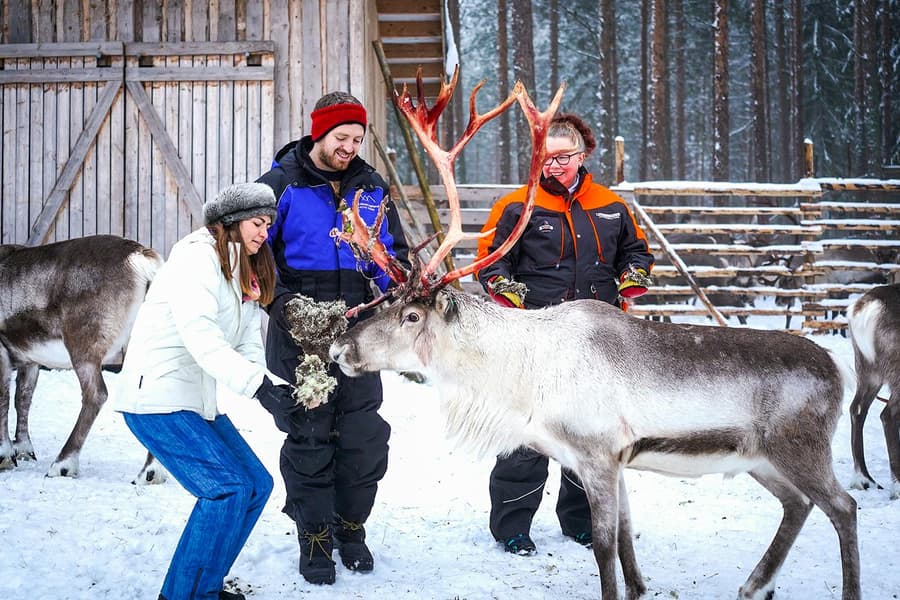 Reindeer Farm and Sledding Experience, Rovaniemi