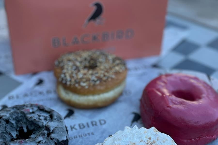Boston: Harvard Square Guided Donut Tour, Boston