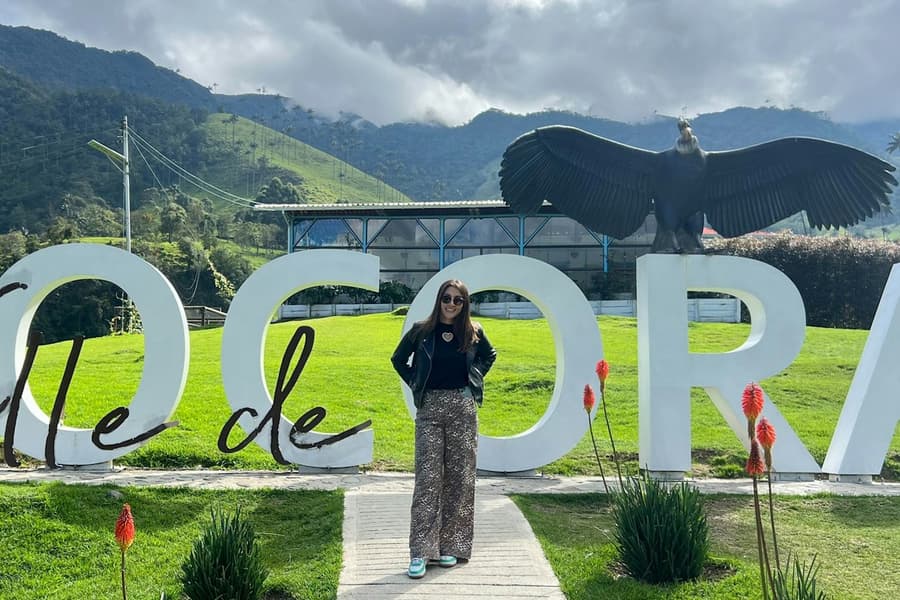 Cocora Valley: Guided Shared Tour From Salento, at Outdoor Activities in Salento, Salento