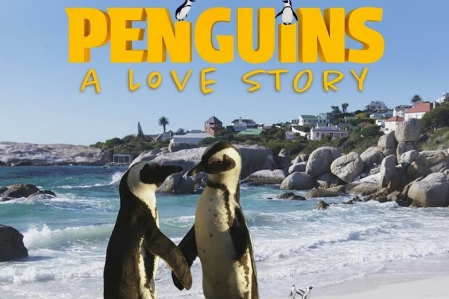 Simons Theatre: Penguins - A Love Story Film, at New England Aquarium, Boston