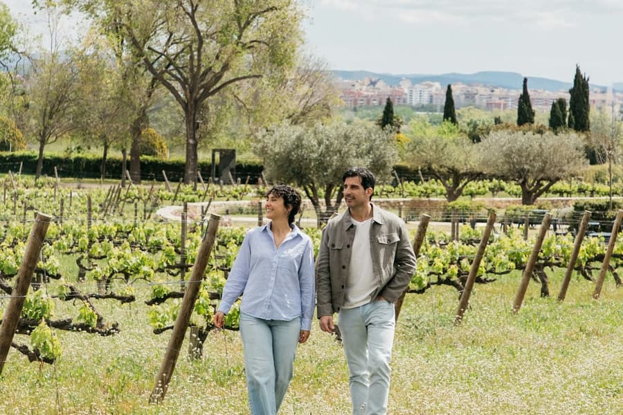 Torres Winery: Guided Tour + Wine & Tapas Pairing, at Torres Winery