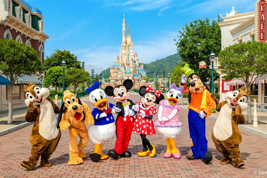 Hong Kong Disneyland VIP Tour with English Guide(Up to 6 guests), Hong Kong