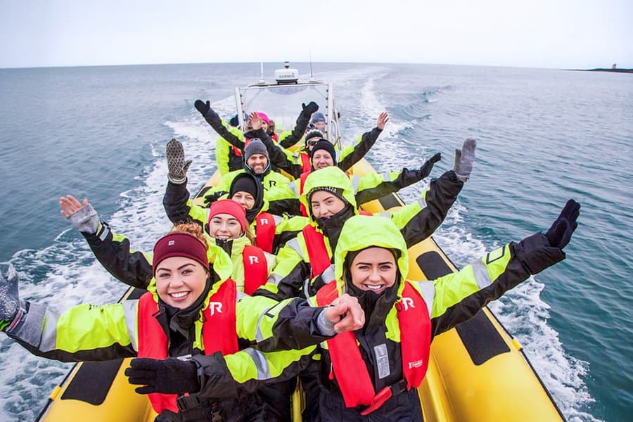 Reykjavik: Whale Watching Tour on RIB Speedboat, at Reykjavík