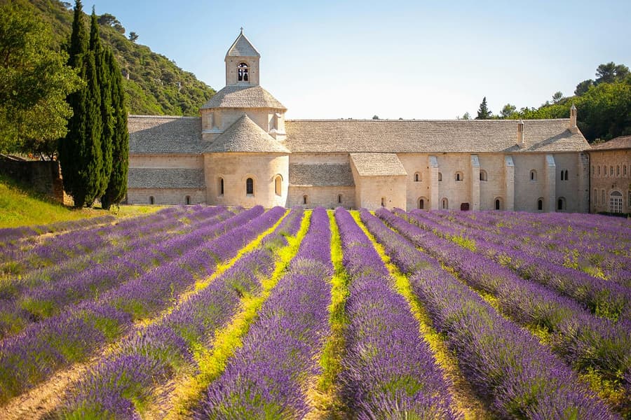 From Marseille: Lavender Fields Tour, Provence