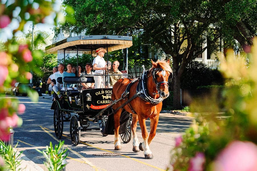 Charleston Historical Downtown Tour by Horse-drawn Carriage, Charleston