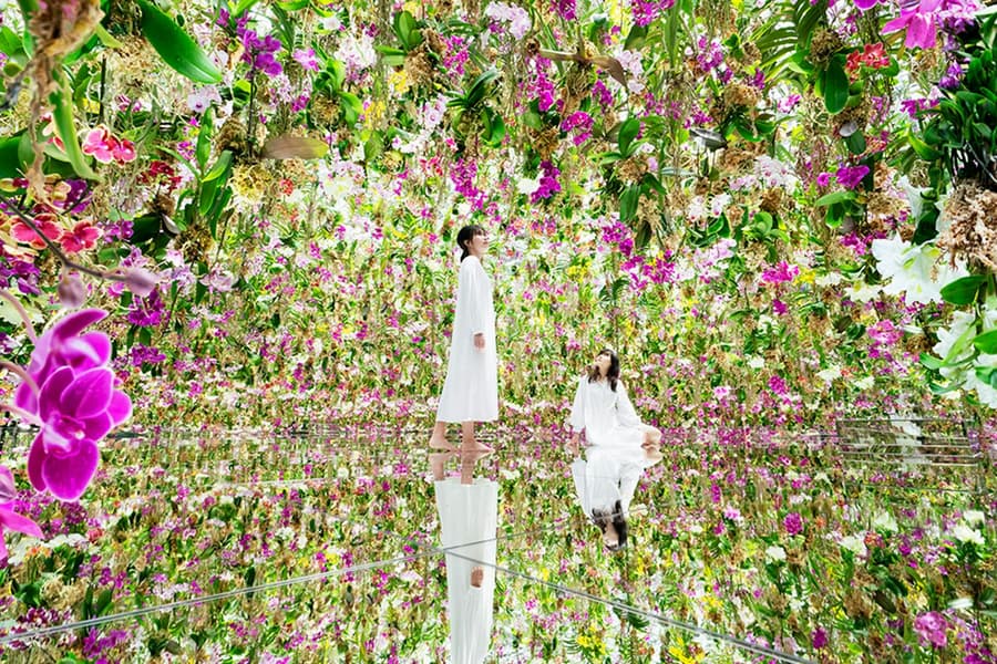 teamLab SuperNature Macau, at teamLab SuperNature Macau, Macau