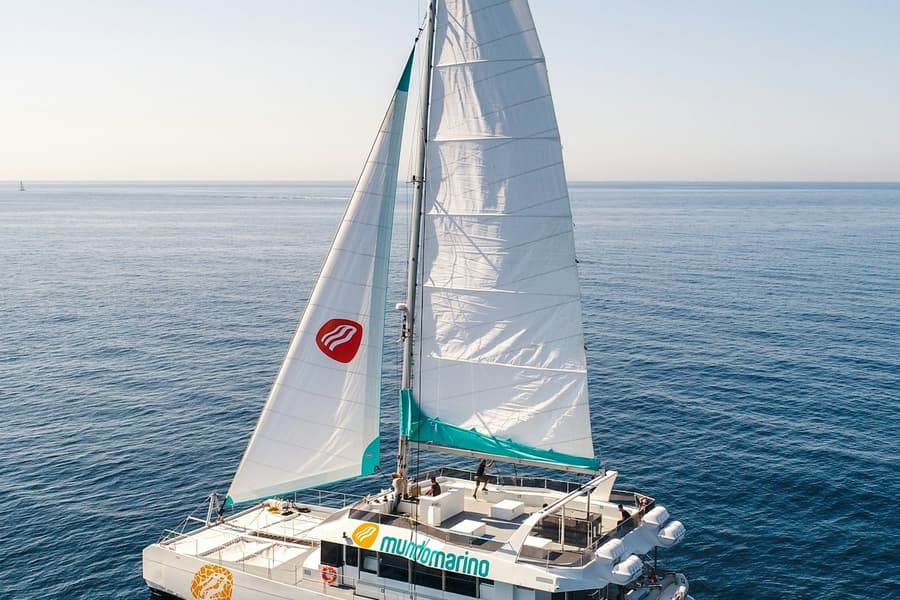Malaga: Sunset Catamaran Cruise + Drink, at Malaga Boat Trips, Malaga
