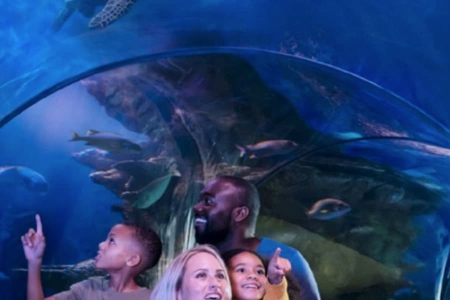 SEA LIFE Arizona: Entry Ticket, at SEA LIFE Arizona, Tempe