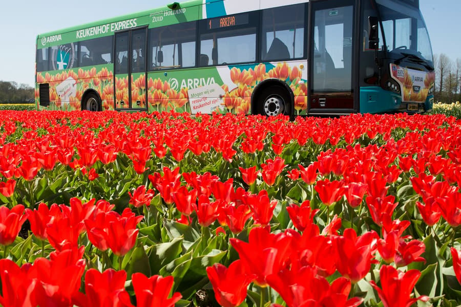 Amsterdam: City & Region Travel Ticket at Amsterdam Public Transport Tickets