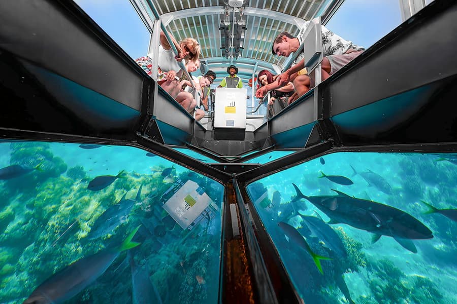 Cairns to Green Island Full/Half-Day Cruise with Glass Bottom Boat Tour, Cairns