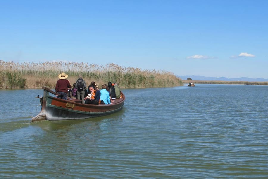 Albufera Bus & Boat from Valencia, Valencia