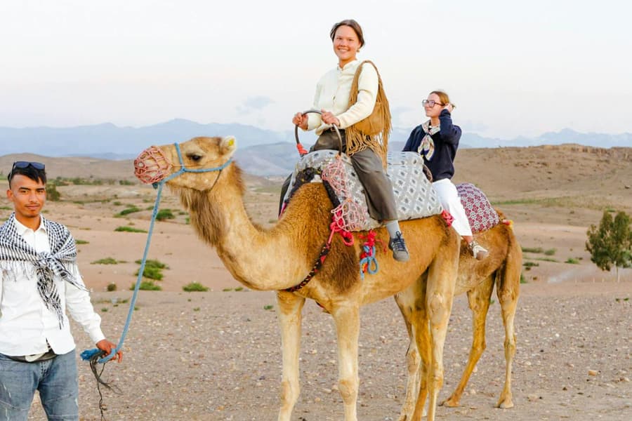 Sunset Desert Tour with Camel Ride, Dinner Show & Transfers, Marrakesh
