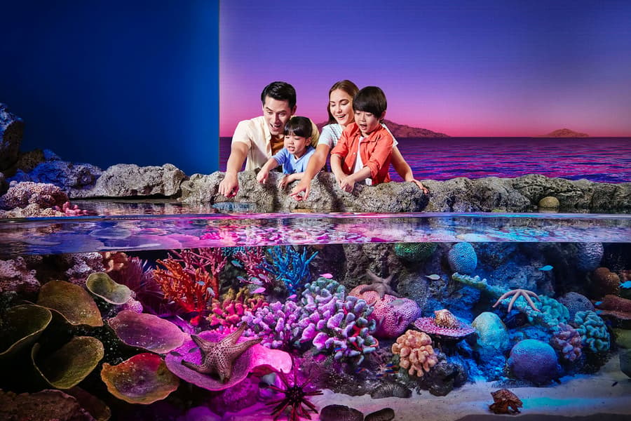 Combo: SEA LIFE Bangkok + Madame Tussauds Bangkok Tickets, Bangkok
