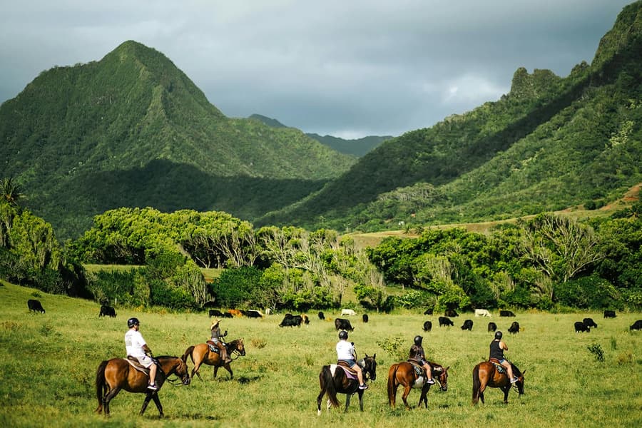 Kualoa Ranch: Horseback Walking Tour, at Kualoa Ranch