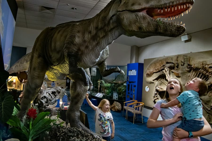 National Dinosaur Museum: Skip The Line Ticket, at National Dinosaur Museum, Nicholls