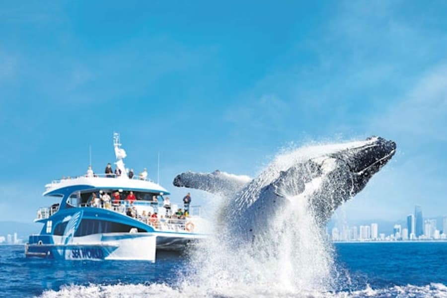 அகுரெயிரி: விலங்கியல் சென்றடையலுக்கு படகு பயணம், Main Beach