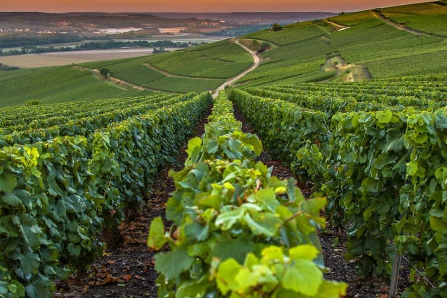 French Riviera: Nice, Gorges du Loup Waterfall + Wine and Tasting Day Tour, Nice