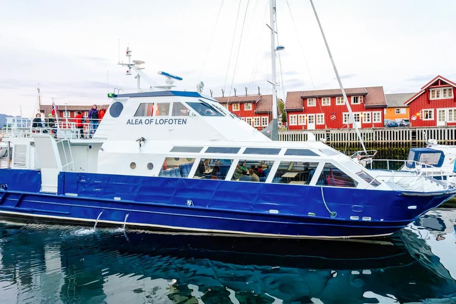 From Svolvær: Lofoten Trollfjord Cruise & Sea Eagle Safari, Oslo