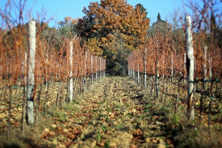 Chianti Region: Day Trip from Florence + Off-Road Tuscany Wine Tour tickets