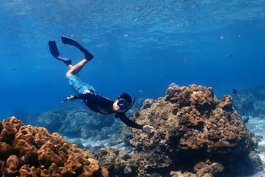 Koh Racha Noi & Koh Racha Yai: Guided Speedboat Tour + Transfer + Lunch, at Day Trips from Khao Lak