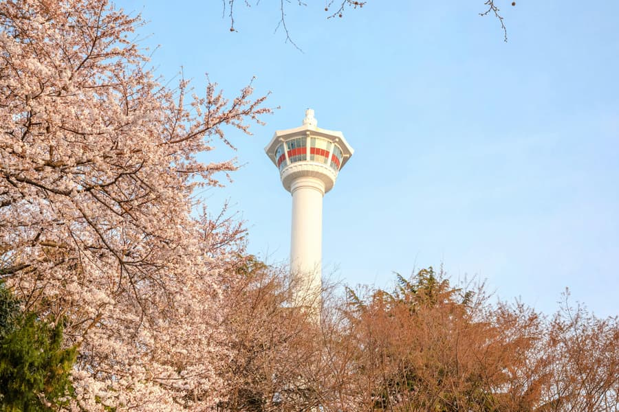 Busan Tower Observatory Entry Tickets, at Busan Tower, Busan