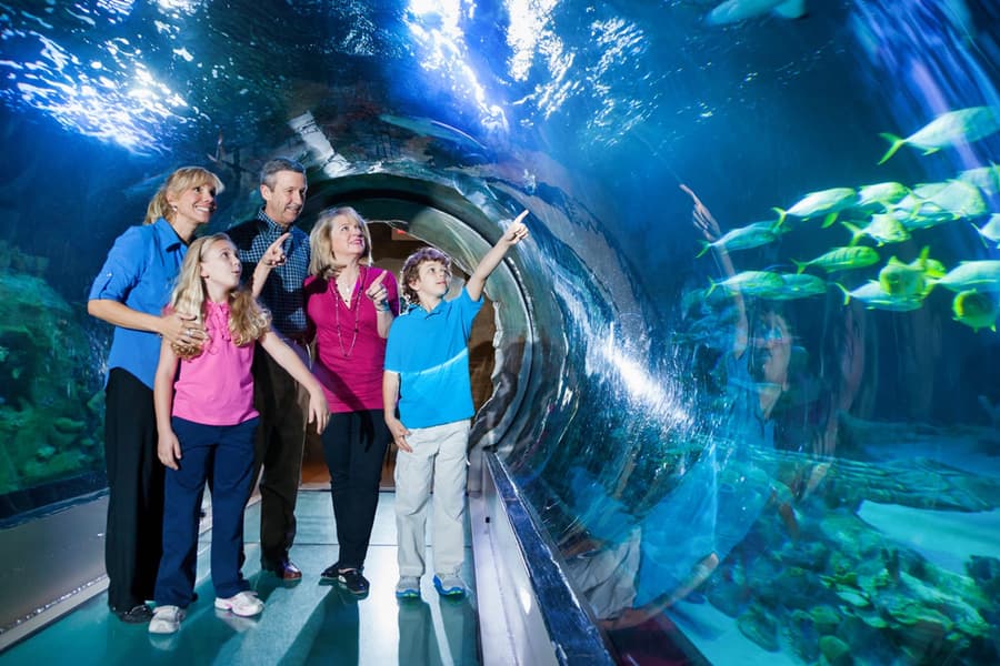 Пакет атракции на ICON Park: Колелото, музеят на Мадам Тюсо и Аквариум SEA Life, at ICON Park, Orlando