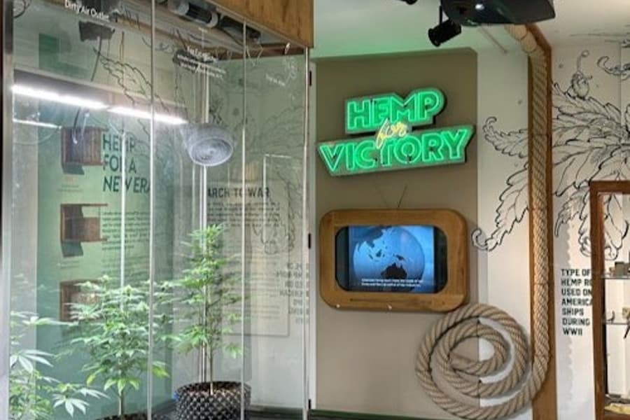 Cannabis Museum Amsterdam: Entry Ticket + Audio Guide, at Cannabis Museum Amsterdam