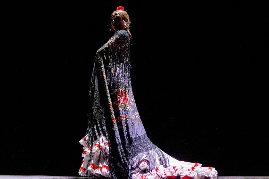 Málaga Club - Espectacle Essència Flamenca, at Teatro Flamenco Málaga Club, Malaga
