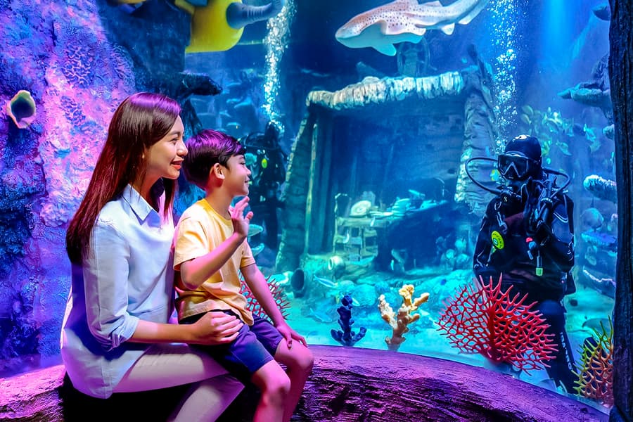 دنیای آبی SEA LIFE در لگولند® مالزی, at 7, Jln Legoland, Kuala Lumpur