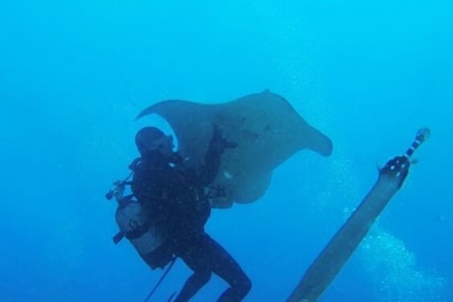 Los Cristianos: Guided Diving Class, Tenerife