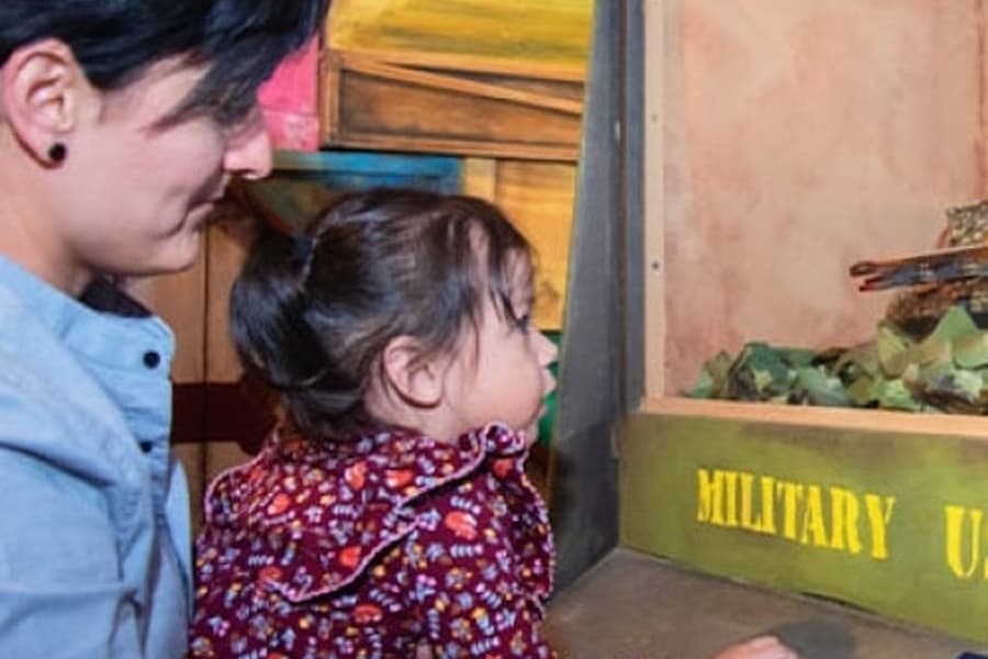 Ripley's Believe It or Not! San Antonio: 4-Attraction Pass, San Antonio