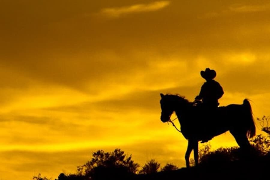 Wild Wild West Sunset Horseback Ride + Dinner tickets