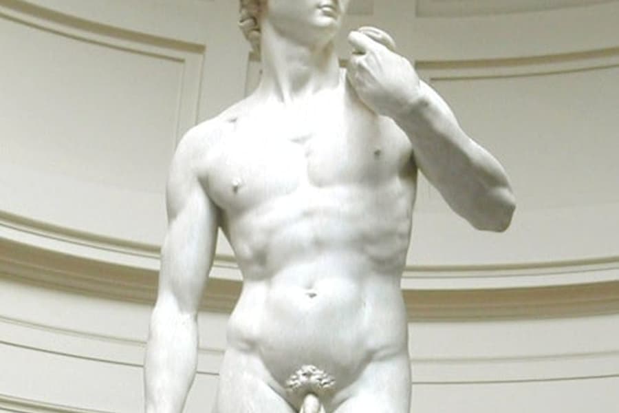 Accademia Gallery: Priority Entry Ticket + Official Audio Guide, at Accademia Gallery