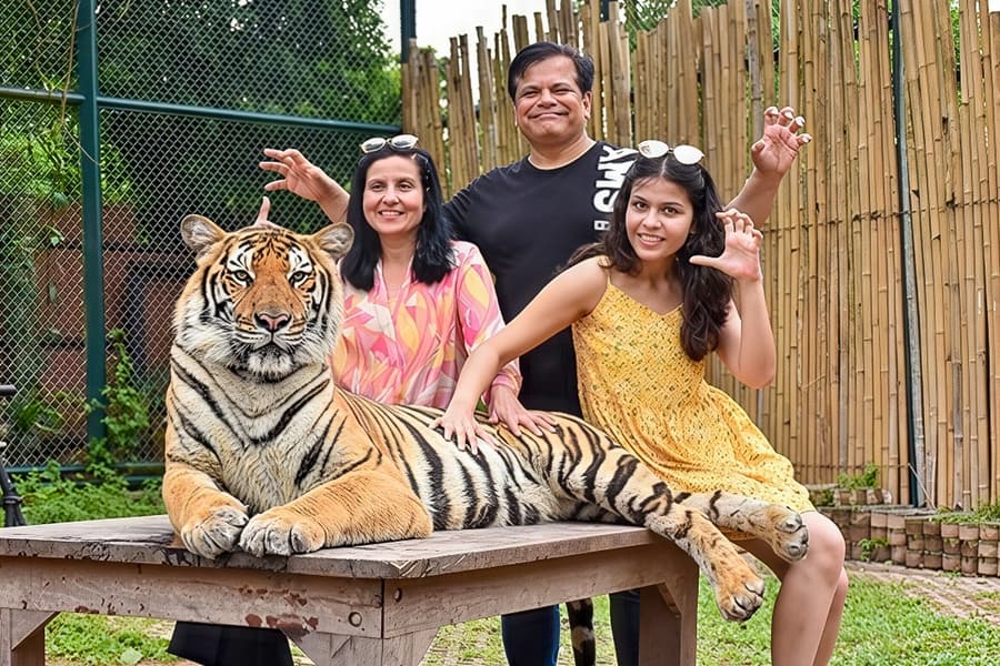 Tiger Kingdom Tickets with Tiger Play Packages, at Tiger Kingdom