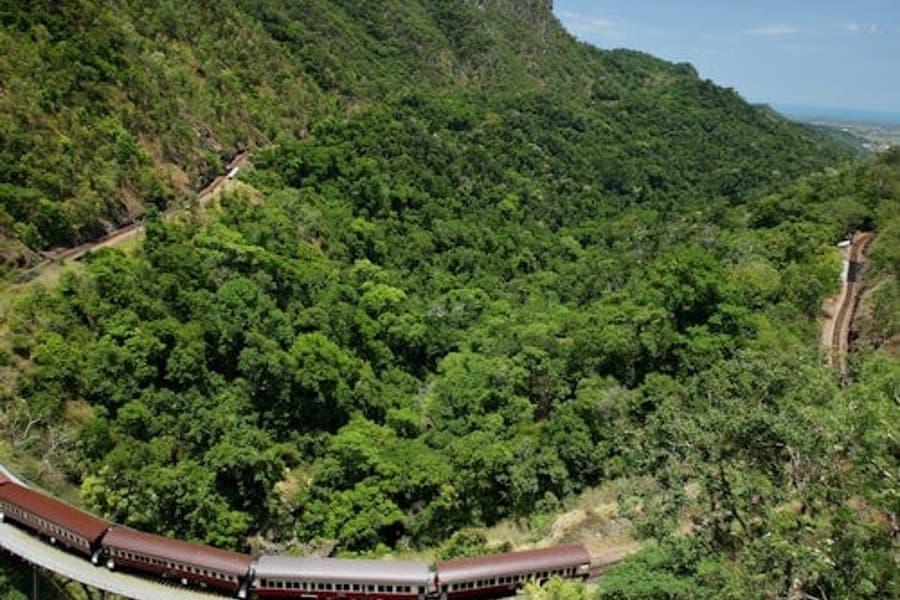 Self-Drive Kuranda Experience: Skyrail Rainforest Cableway & Scenic Rail