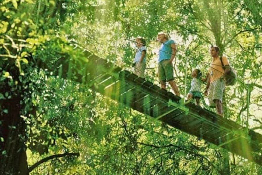 Parque Nacional Lamington, O'Reilly's & Vinícola: Excursão de um Dia a partir de Gold Coast, at Day Trips from Gold Coast, Natural Bridge