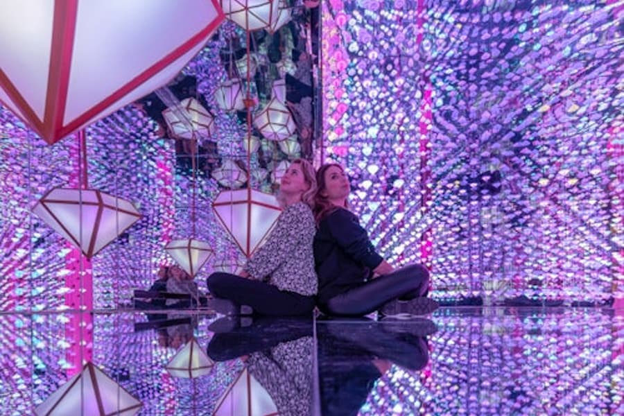 The Upside Down + Moco Museum, at The Upside Down