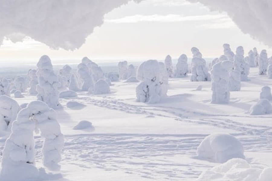 Hike in Riisitunturi National Park, Rovaniemi