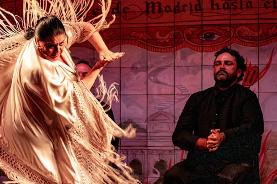 Madrid: Flamenco Show at Flamenco de Leones + Dinner, at Flamenco de Leones