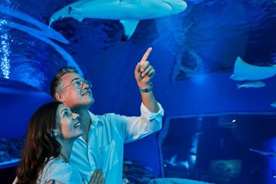 بلیط ورودی آکواریوم کایرنز و مقبره فرعون, at Cairns Aquarium, Cairns