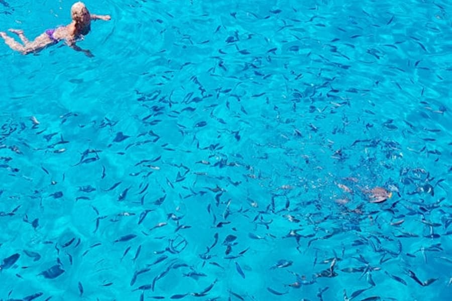 Parga, Syvota a Modrá laguna: Celodenní plavba lodí z Korfu, Corfu