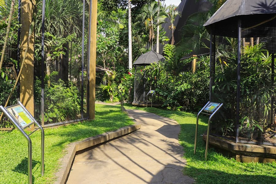 Bali Bird Park Group Saver Tickets: Group of 3 & More, at Bali Bird Park, Bali