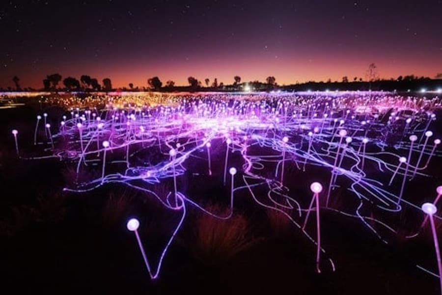 Camp de Llum Uluru: Passi Estrella, at Field of Light Uluru, Yulara