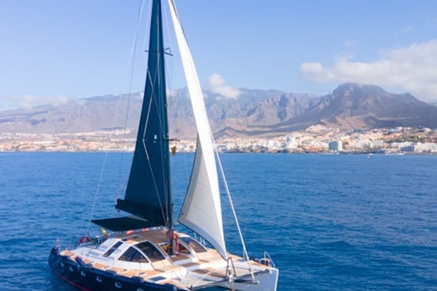 Tenerife: Tur cu catamaranul de 3 ore pentru observarea balenelor și delfinilor, cu catering inclus, at Tenerife Sailing Tours, Costa Adeje