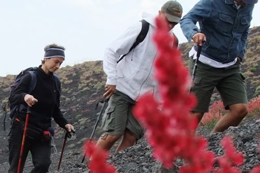 Mont Etna: Excursió des de Catània, at Mount Etna, Nicolosi