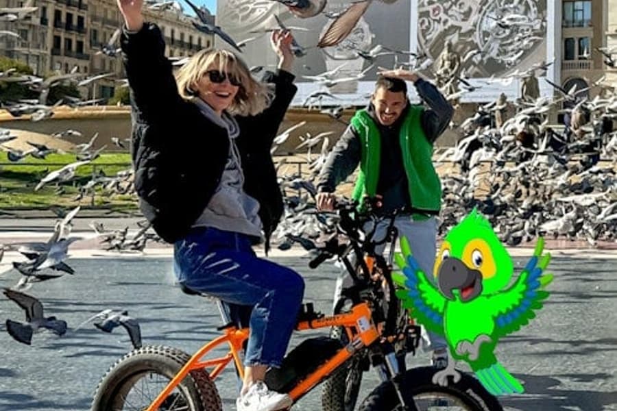 Barcelona City Highlights: Bike or E-Bike Tour