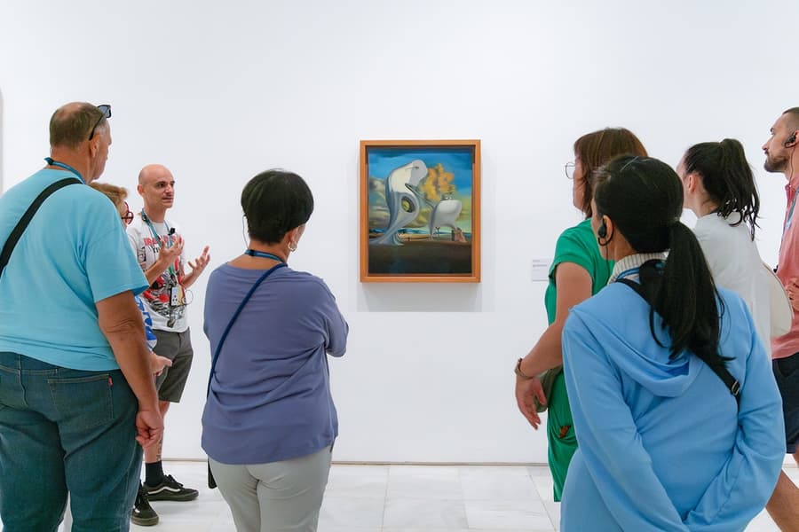 Reina Sofia Museum Guided Tour, Madrid